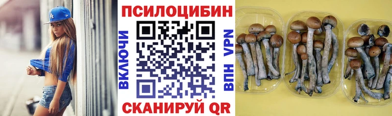 Купить где  Котово  Псилоцибиновые грибы ЛСД 