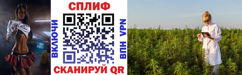Каннабис SATIVA & INDICA  Купить  Котово 